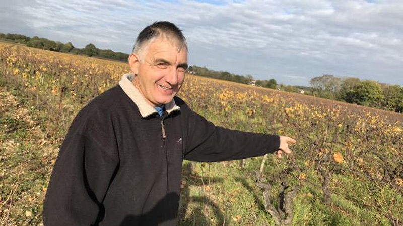 Patrice Héraud, vigneron et président de la coopérative de Clisson.